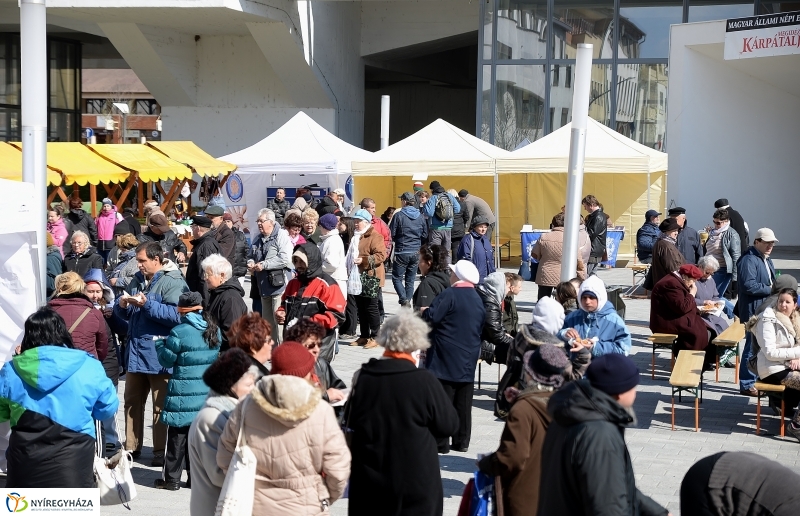 Helló Nyíregyháza! 2017 Civil sziget - fotó Trifonov Éva