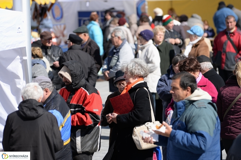 Helló Nyíregyháza! 2017 Civil sziget - fotó Trifonov Éva