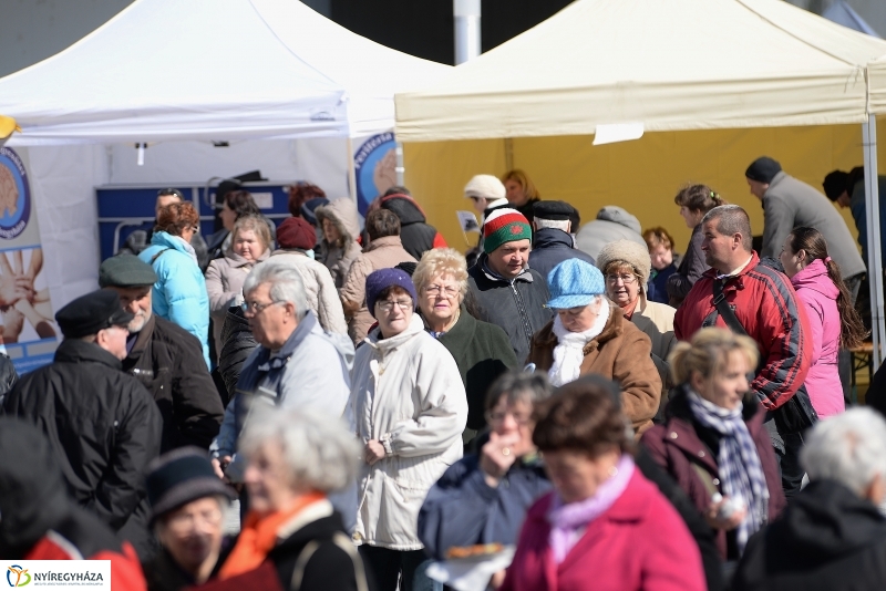 Helló Nyíregyháza! 2017 Civil sziget - fotó Trifonov Éva