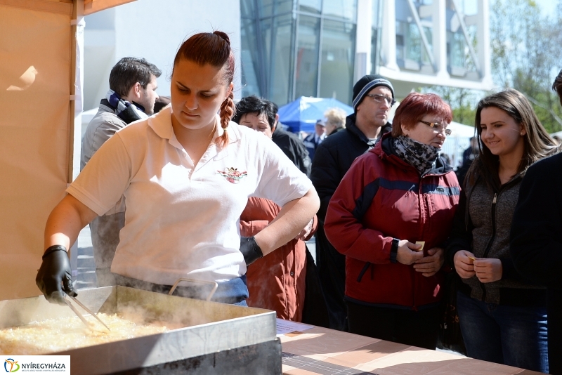 Helló Nyíregyháza! 2017 Civil sziget - fotó Trifonov Éva