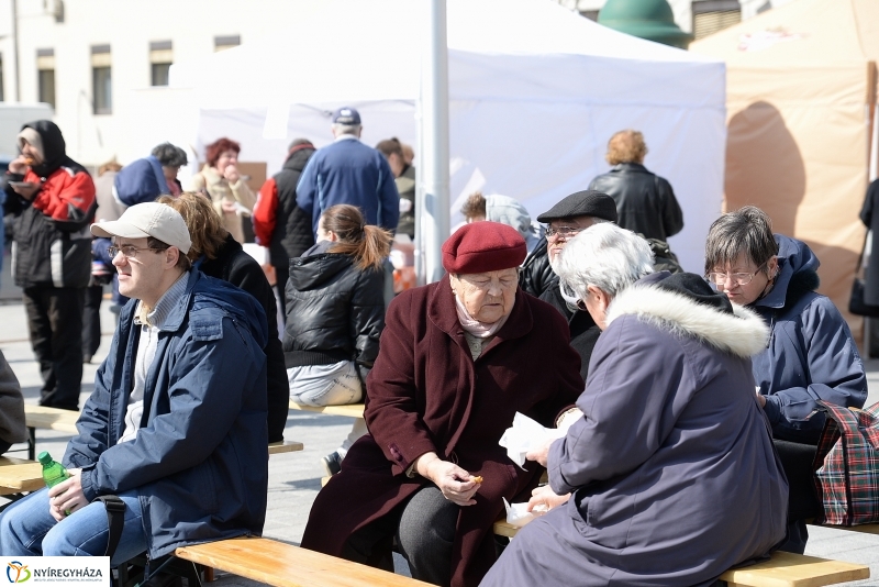 Helló Nyíregyháza! 2017 Civil sziget - fotó Trifonov Éva