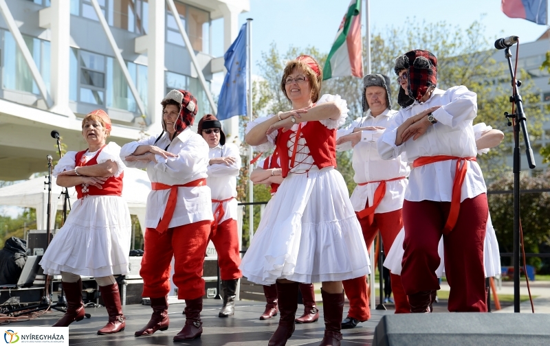 Helló Nyíregyháza! 2017 Civil sziget - fotó Trifonov Éva