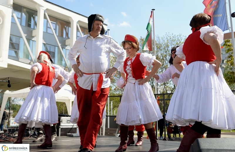 Helló Nyíregyháza! 2017 Civil sziget - fotó Trifonov Éva