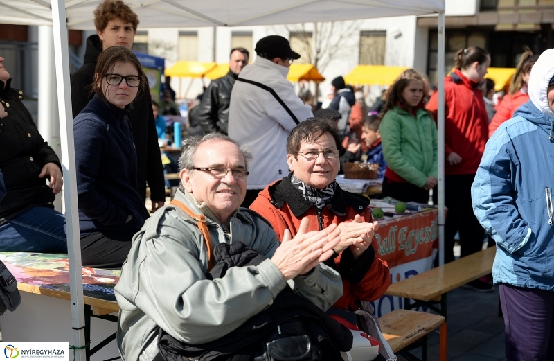 Helló Nyíregyháza! 2017 Civil sziget - fotó Trifonov Éva