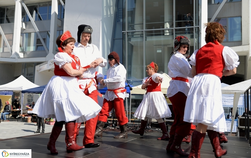 Helló Nyíregyháza! 2017 Civil sziget - fotó Trifonov Éva