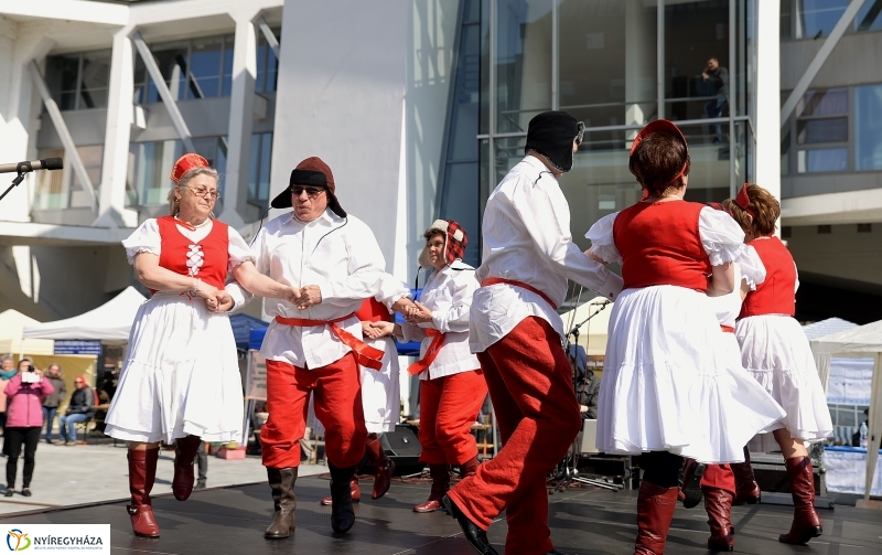 Helló Nyíregyháza! 2017 Civil sziget - fotó Trifonov Éva