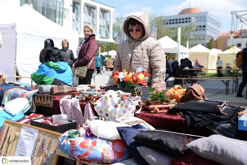 Helló Nyíregyháza 2017- séta a belvárosban-fotó Trifonov Éva