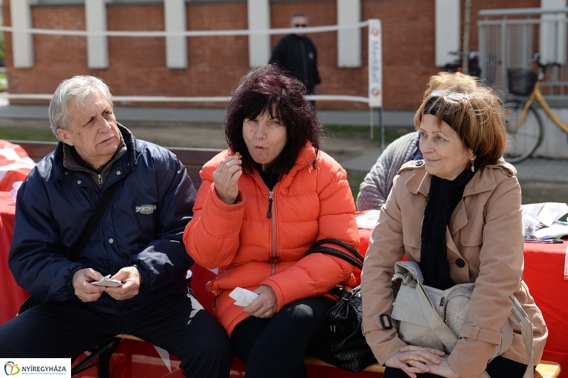 Helló Nyíregyháza 2017- séta a belvárosban-fotó Trifonov Éva