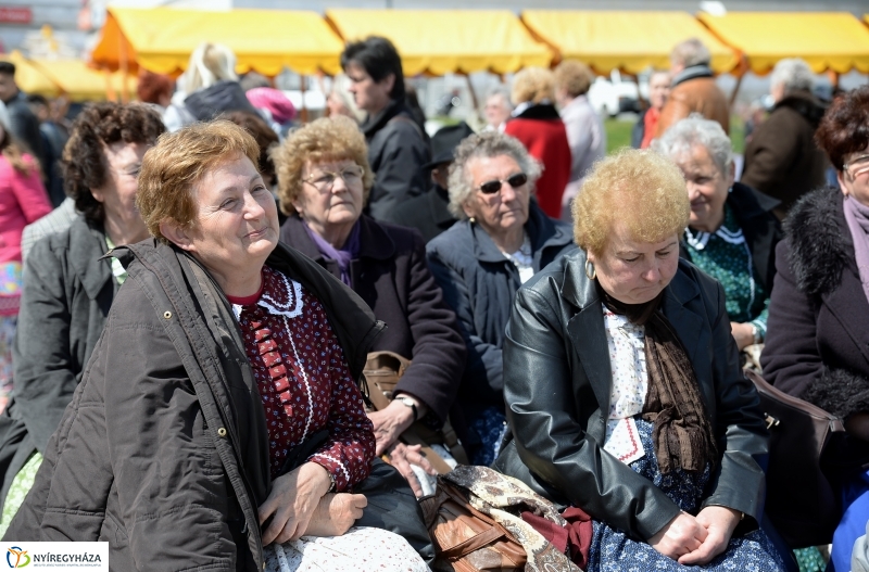 Helló Nyíregyháza 2017- séta a belvárosban-fotó Trifonov Éva