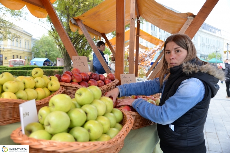 Helló Nyíregyháza 2017- séta a belvárosban-fotó Trifonov Éva