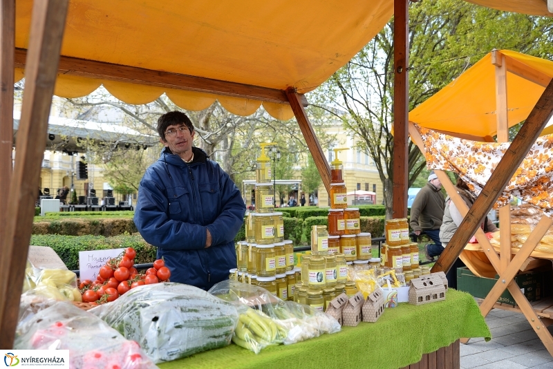 Helló Nyíregyháza 2017- séta a belvárosban-fotó Trifonov Éva