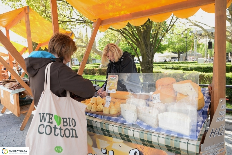 Helló Nyíregyháza 2017- séta a belvárosban-fotó Trifonov Éva
