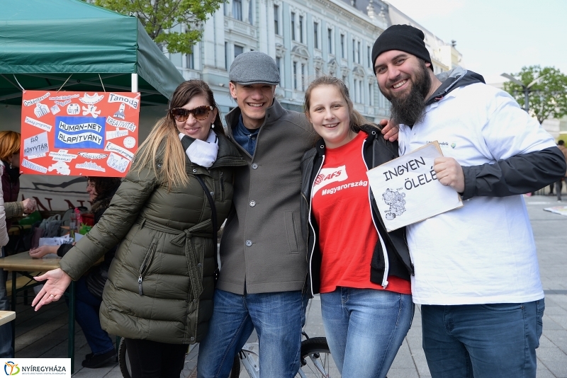Helló Nyíregyháza 2017- séta a belvárosban-fotó Trifonov Éva
