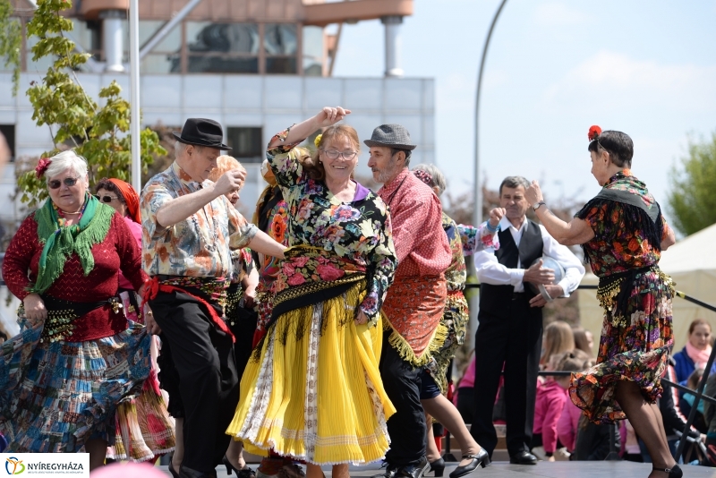 Helló Nyíregyháza 2017- séta a belvárosban-fotó Trifonov Éva