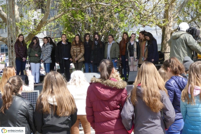 Helló Nyíregyháza! 2017 délelőtt - fotó Szarka Lajos