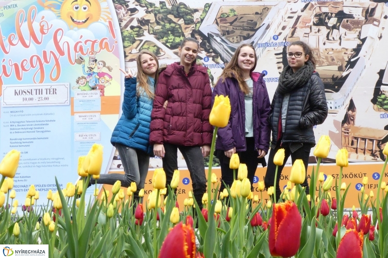 Helló Nyíregyháza! 2017 délelőtt - fotó Szarka Lajos