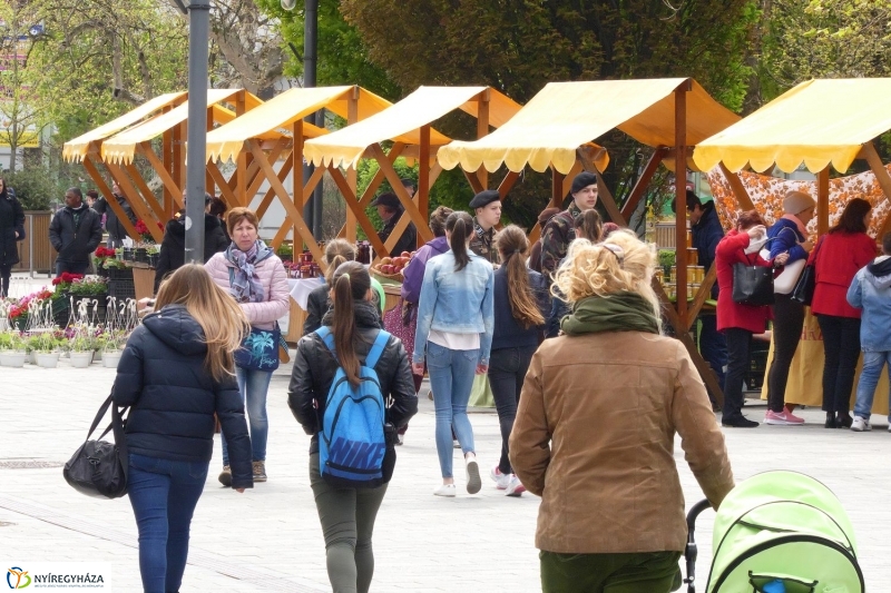 Helló Nyíregyháza! 2017 délelőtt - fotó Szarka Lajos