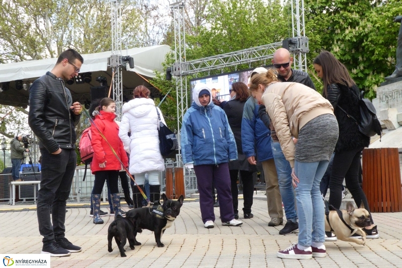 Helló Nyíregyháza! 2017 délelőtt - fotó Szarka Lajos
