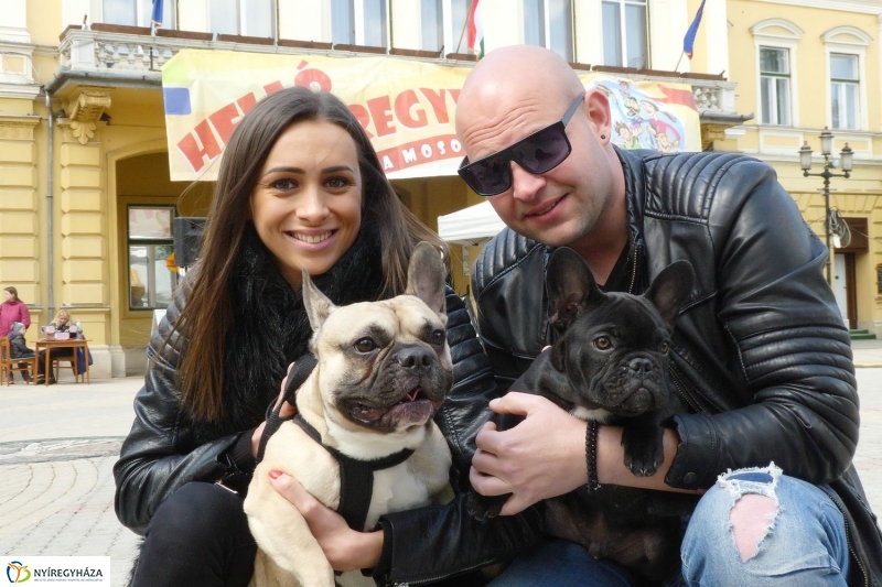 Helló Nyíregyháza! 2017 délelőtt - fotó Szarka Lajos