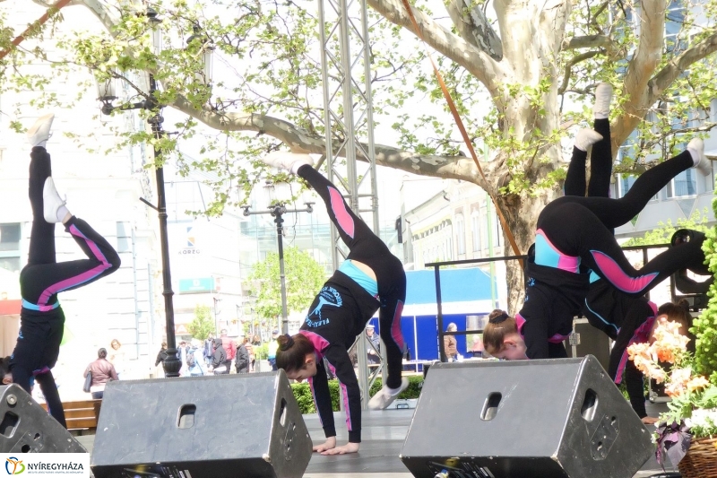 Helló Nyíregyháza! 2017 délelőtt - fotó Szarka Lajos