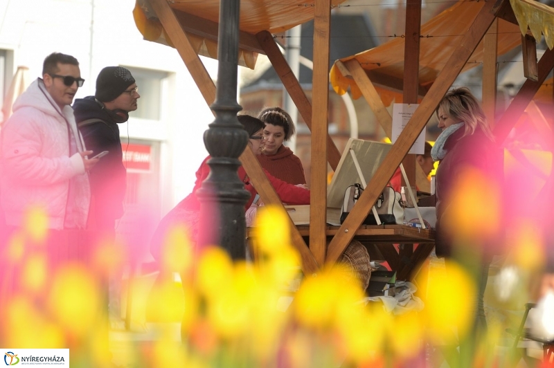 Helló Nyíregyháza! 2017 délután - fotó Szarka Lajos