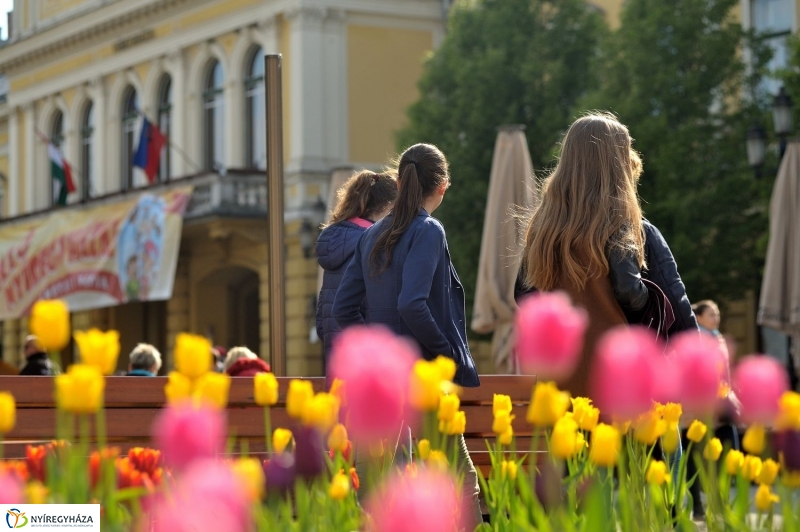 Helló Nyíregyháza! 2017 délután - fotó Szarka Lajos