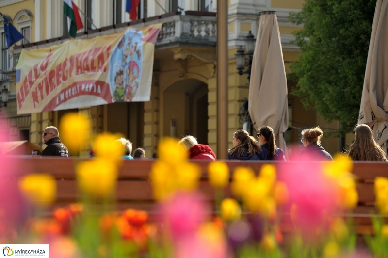 Helló Nyíregyháza! 2017 délután - fotó Szarka Lajos