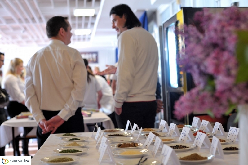 Szakmák Éjszakája 2017 - fotó Szarka Lajos