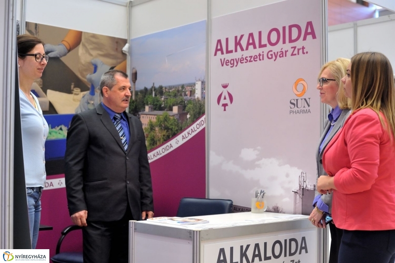 Karriernap az egyetemen - fotó Szarka Lajos