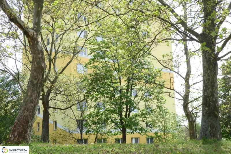 Tavaszi pillanatok a Jósában - fotó Szarka Lajos