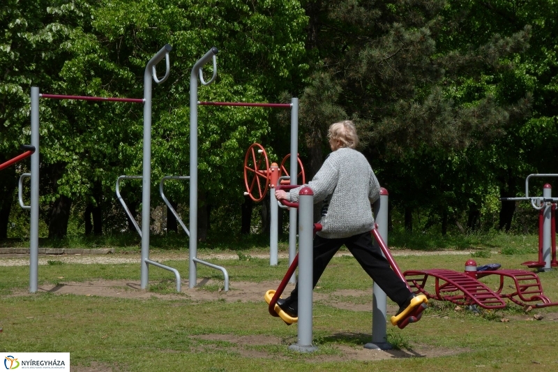 Tavaszi pillanatok a Jósában - fotó Szarka Lajos