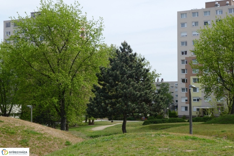 Tavaszi pillanatok a Jósában - fotó Szarka Lajos