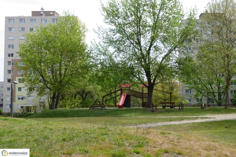 Tavaszi pillanatok a Jósában - fotó Szarka Lajos