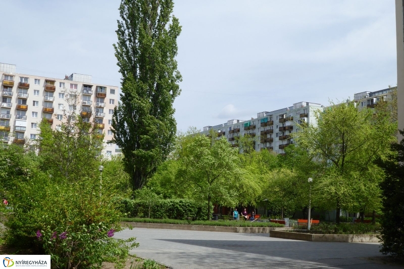 Tavaszi pillanatok a Jósában - fotó Szarka Lajos