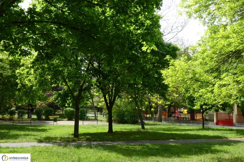 Tavaszi pillanatok a Jósában - fotó Szarka Lajos