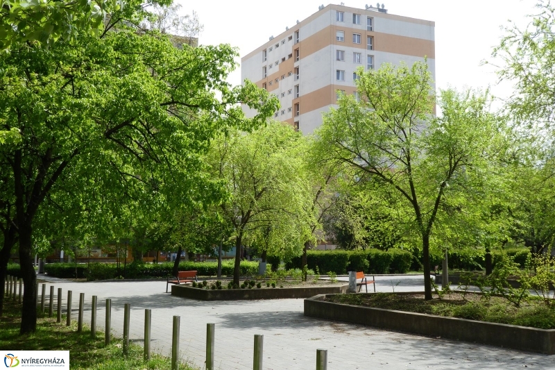 Tavaszi pillanatok a Jósában - fotó Szarka Lajos