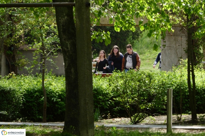 Tavaszi pillanatok a Jósában - fotó Szarka Lajos