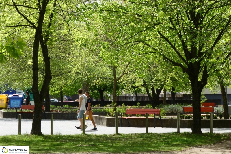 Tavaszi pillanatok a Jósában - fotó Szarka Lajos
