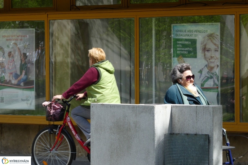 Tavaszi pillanatok a Jósában - fotó Szarka Lajos