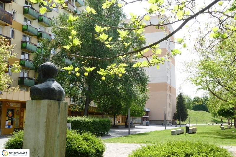 Tavaszi pillanatok a Jósában - fotó Szarka Lajos