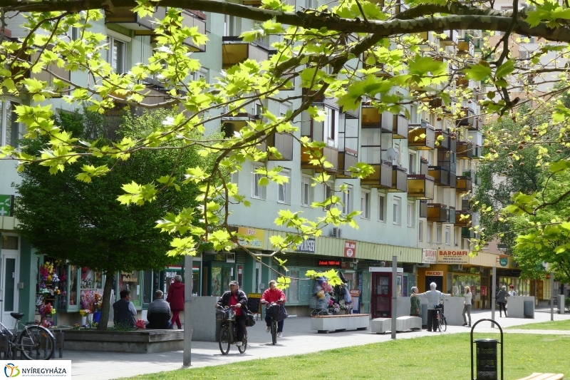 Tavaszi pillanatok a Jósában - fotó Szarka Lajos