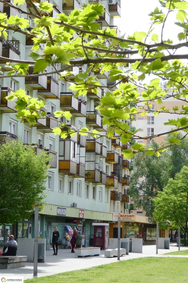 Tavaszi pillanatok a Jósában - fotó Szarka Lajos