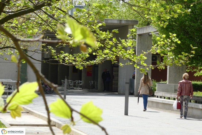 Tavaszi pillanatok a Jósában - fotó Szarka Lajos