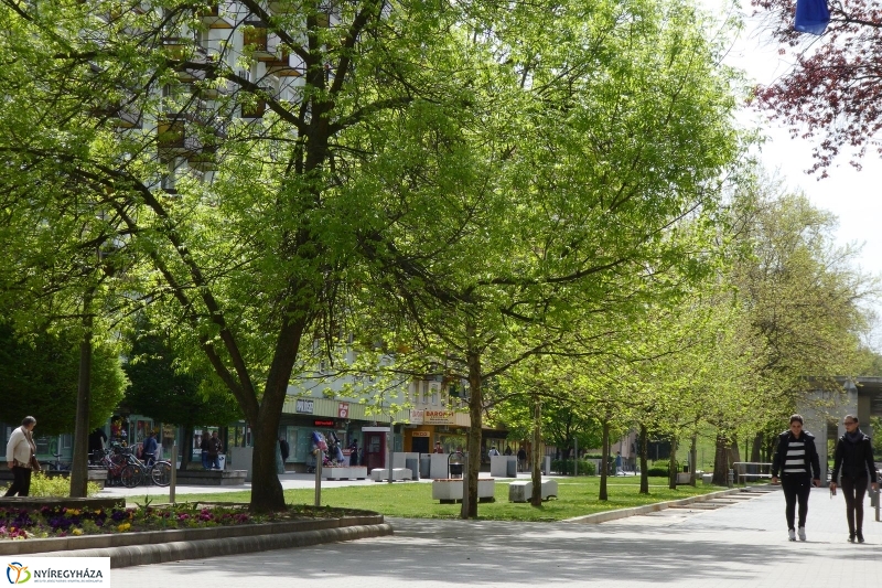 Tavaszi pillanatok a Jósában - fotó Szarka Lajos