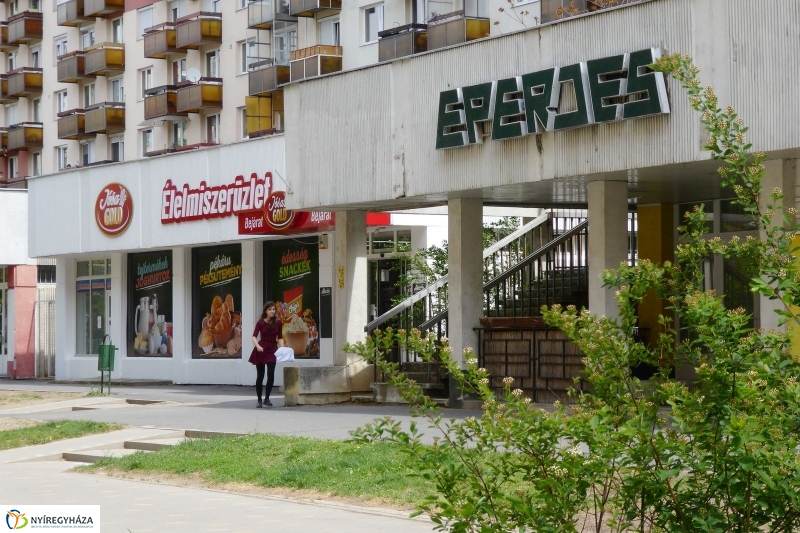 Tavaszi pillanatok a Jósában - fotó Szarka Lajos