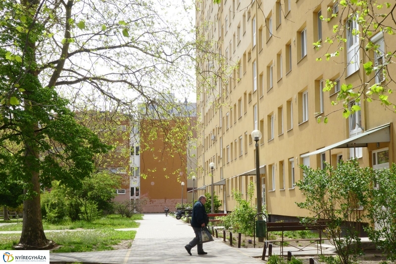 Tavaszi pillanatok a Jósában - fotó Szarka Lajos