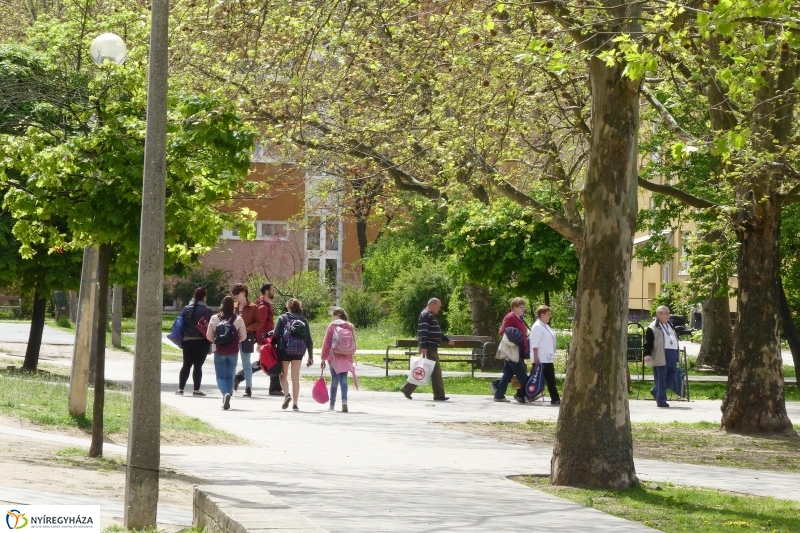 Tavaszi pillanatok a Jósában - fotó Szarka Lajos
