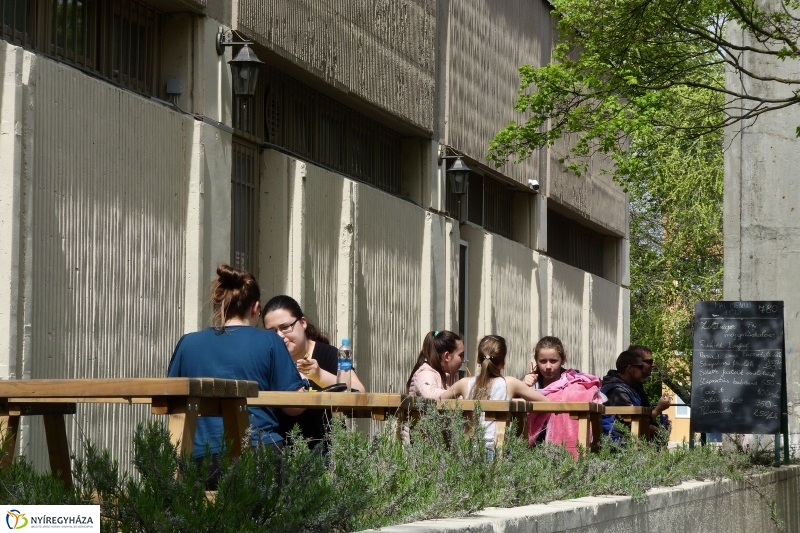 Tavaszi pillanatok a Jósában - fotó Szarka Lajos