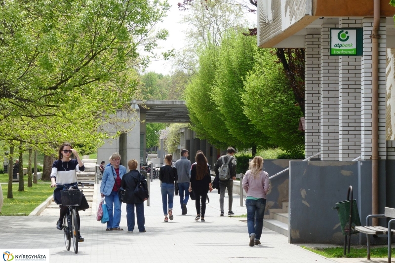 Tavaszi pillanatok a Jósában - fotó Szarka Lajos