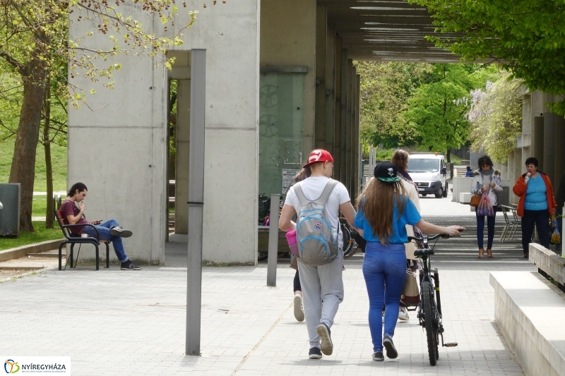 Tavaszi pillanatok a Jósában - fotó Szarka Lajos